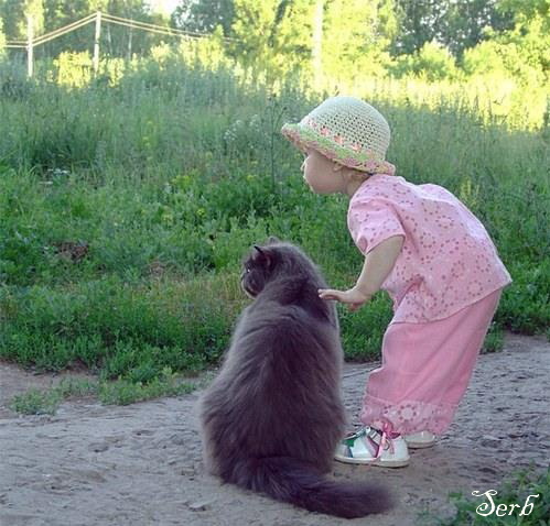 Дети и коты
