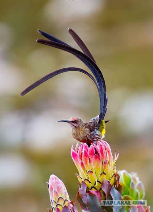 Интересные и веселые картинки