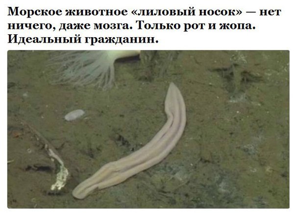 Фотоподборка на пятницу.