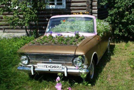 Дачные приколы