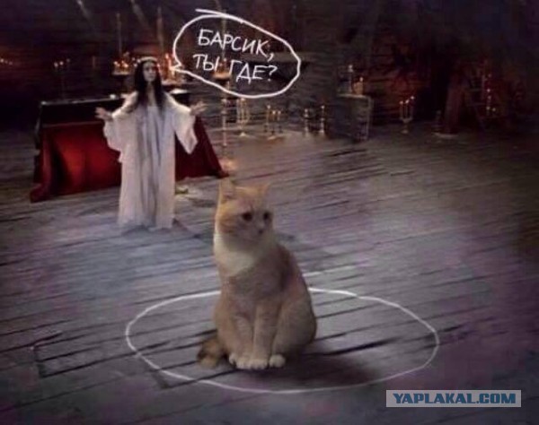 Ударная доза тупежа на начало недели