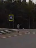 Предвидел Аварию