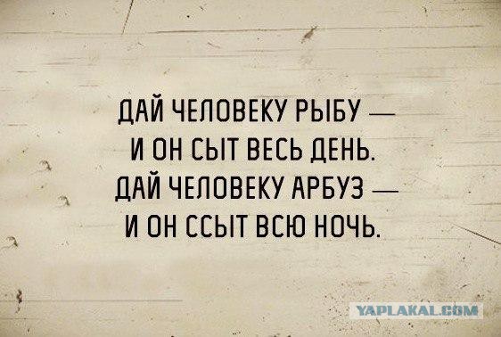 Интересные факты об арбузах