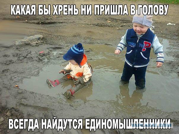 Подборка интересных и веселых картинок