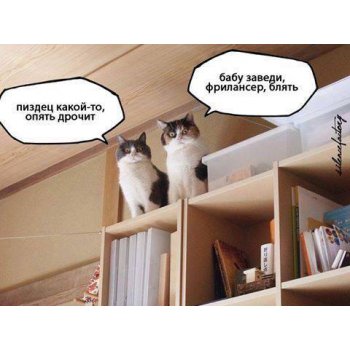 ГЛАГОЛящие коты
