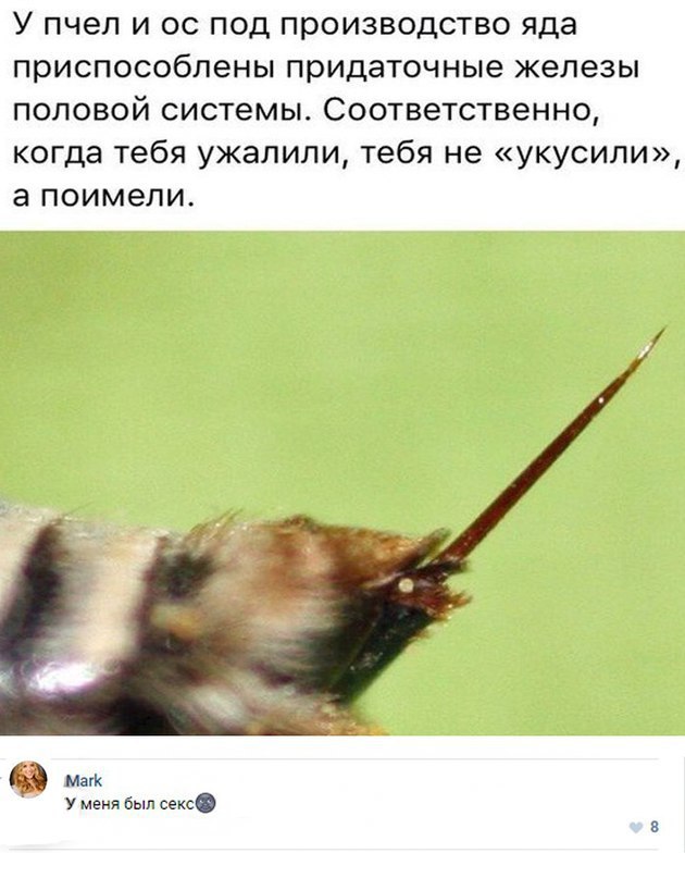 Ужасы и приколы из соцсетей 18+