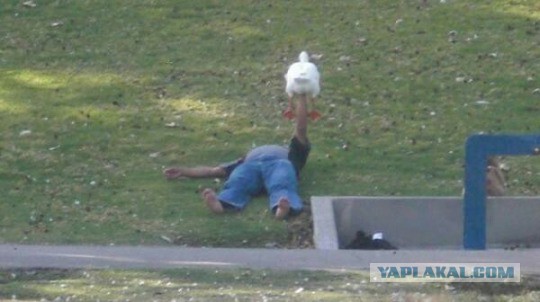 Вопрос к женщинам ЯПа! Строго 35+!