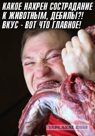 Известные актеры, которые практикуют вегетарианство и веганство