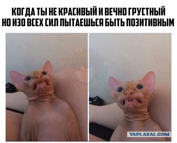 Субботняя деградация