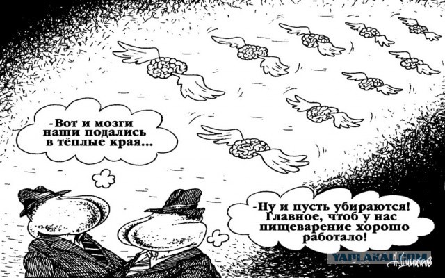 "В условиях рабского труда прорыв невозможен": неутешительная статистика утечки мозгов
