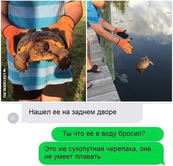 Смешные комментарии из социальных сетей
