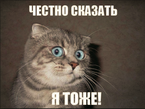 Скотсет, подборка разной дичи