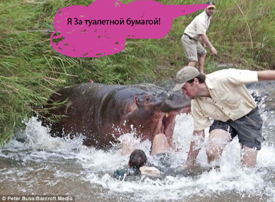 Не быть ему доктором Айболитом