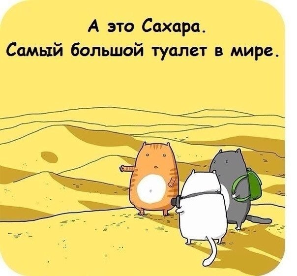Прикольные картинки абавсём