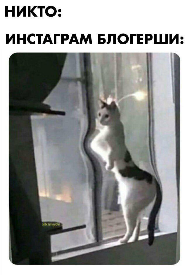 Клуб одиноких сердец