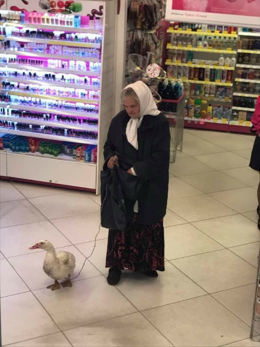 Прикольные картинки абавсём