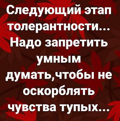 Крик души
