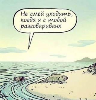 Учёные назвали «шагающих» акул самой новой ветвью эволюции своего вида