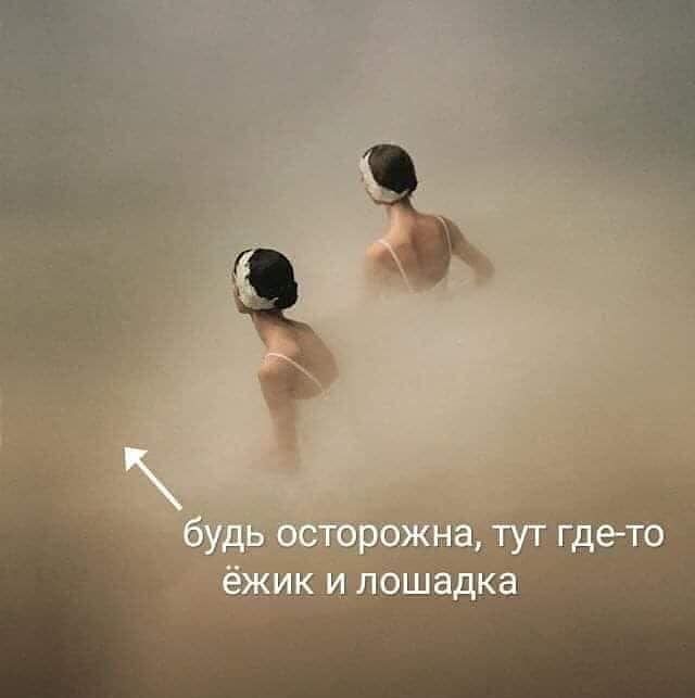 Чуток картинок 15.02.20