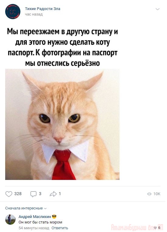 Комментарии к постам в разных группах, которые вызвали улыбку