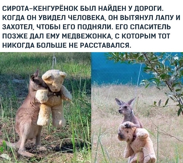 Так себе картинки 04.07.20