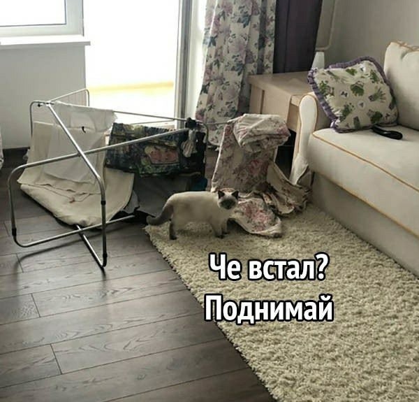 Баянисто-небаянистый юмор. 30.11.20