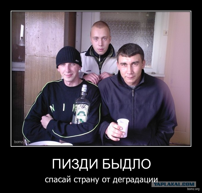 Быдло Всегда Не Ты