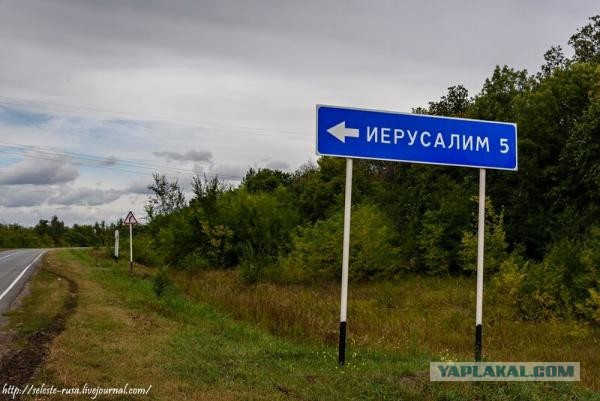 Путин заявил о близости конфликта Израиля и Палестины к границам России.