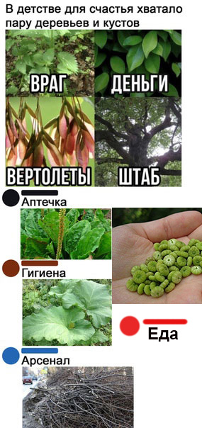 Так себе картинки 18.07.21