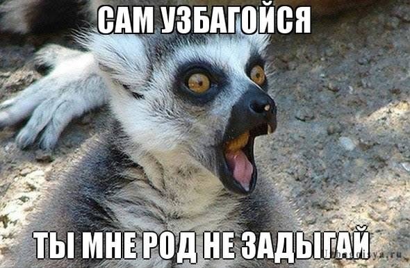 Так себе картинки 24.08.21
