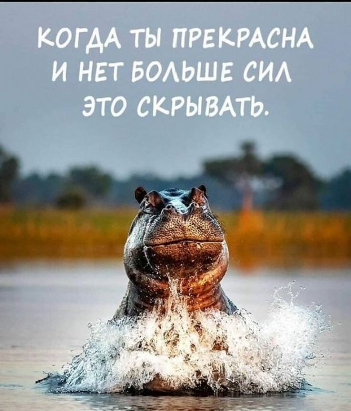 https://s00.yaplakal.com/pics/pics_original/2/3/2/15921232.jpg