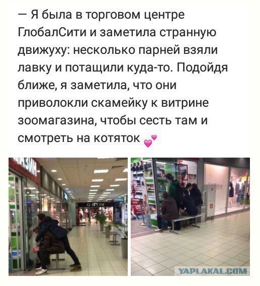 Забавные комментарии из социальных сетей (21.03.22)
