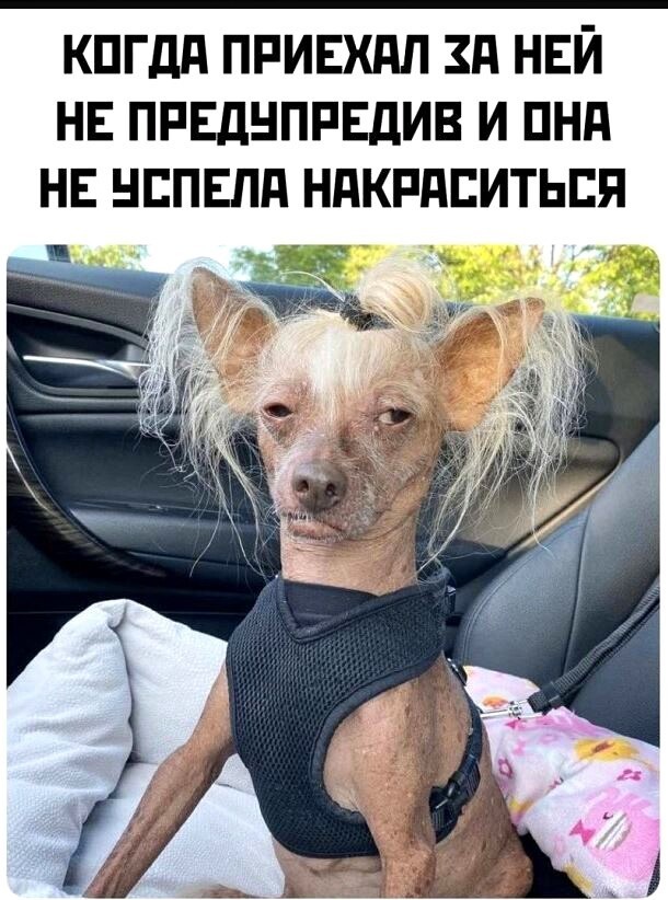 Так себе картинки 02.06.22