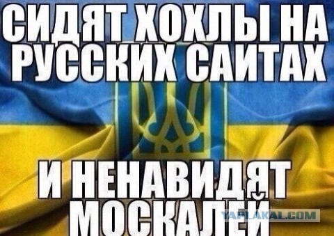 В Подмосковье взорвали дочку известного общественного деятеля Александра Дугина