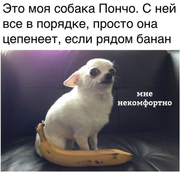 Так себе картинки 06.09.22