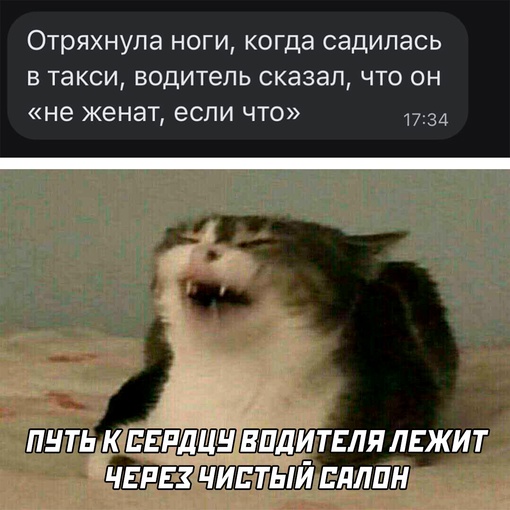 Картинки и мемы для настроения - 125