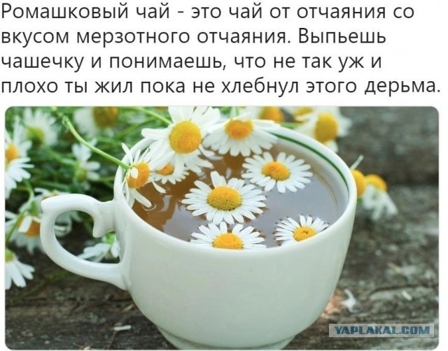 Так дальше жить нельзя. Перемен требуют наши сердца!