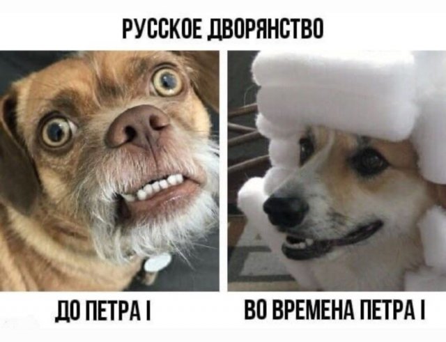 Картинки и мемы для настроения - 131