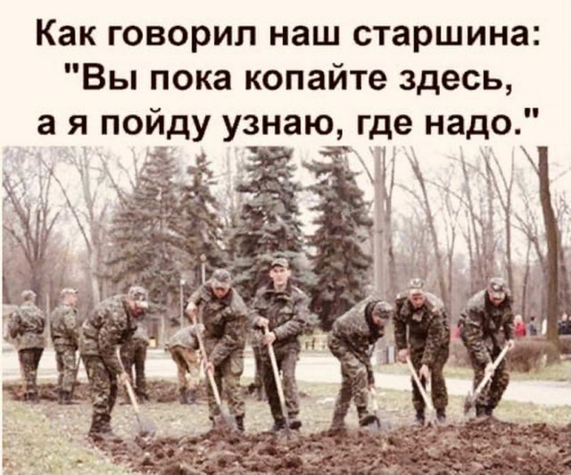 Немного картинок для настроения - 161