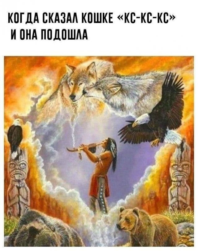 Картинки и мемы для настроения - 137