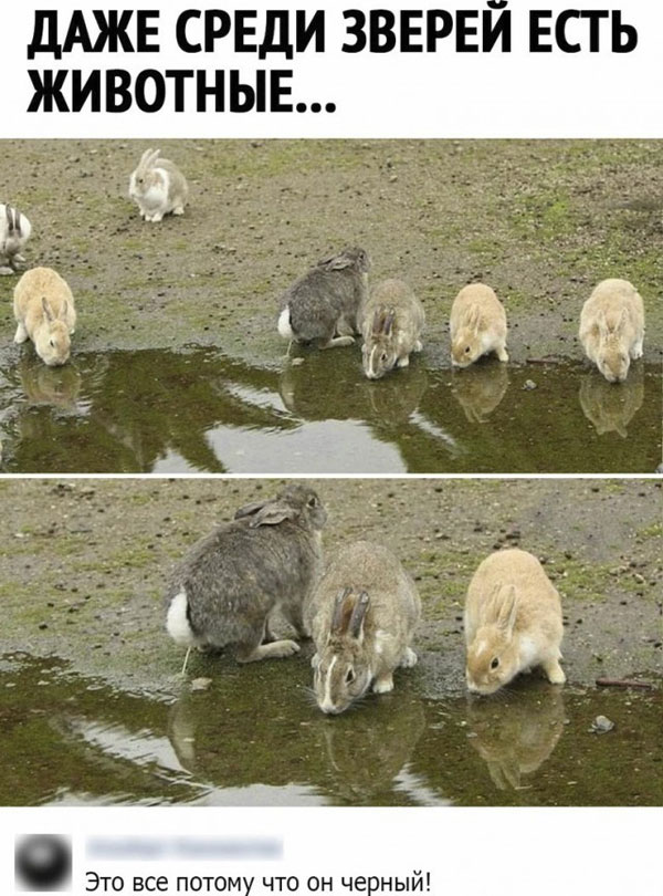 Романы и баяны