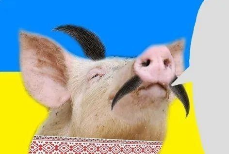 Мы не такая держава