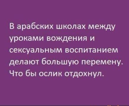 45 пятничных картинок 28.07.2023