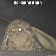 Какие разные девчонки бывают всё-таки у нас...