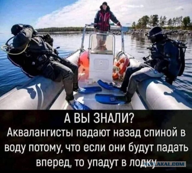 Никакие картинки