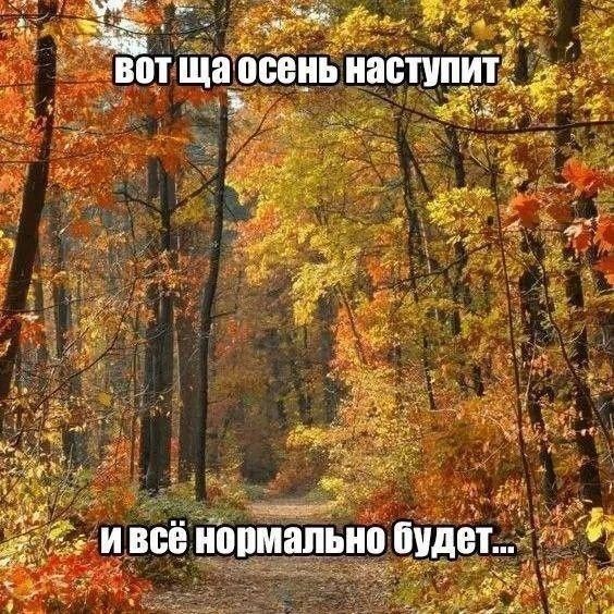 Боянчики. Некоторые даже актуальные