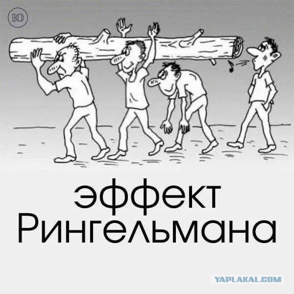 Эффект Рингельмана