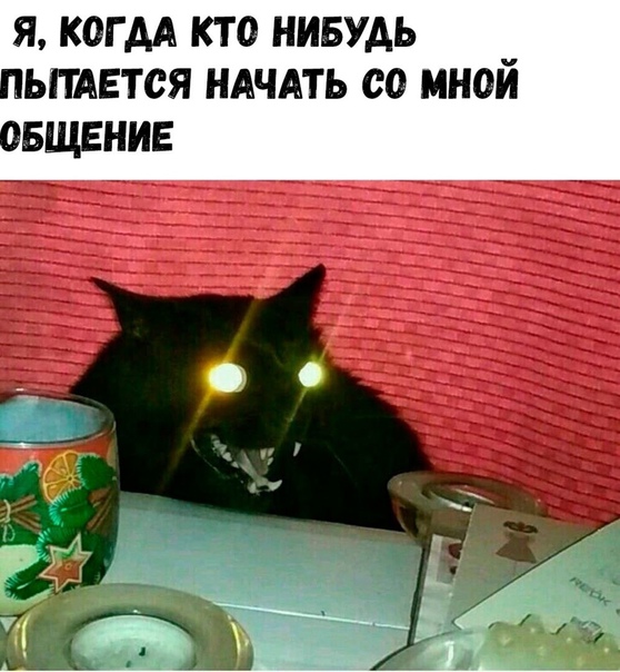 Картинки для деградации 3 (разной степени свежести)