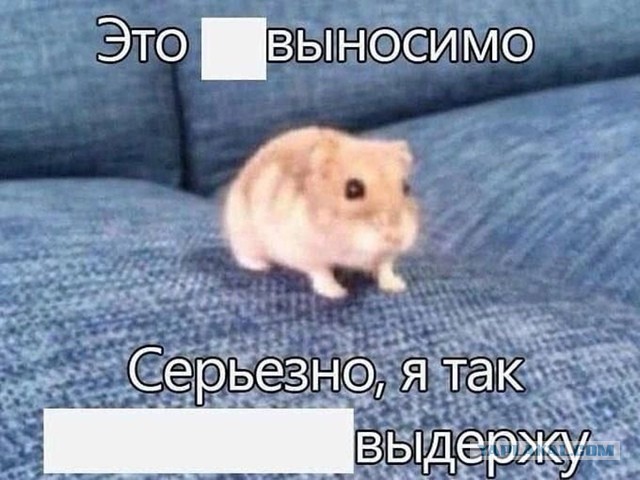 Картинки для деградации 13 (разной степени свежести)