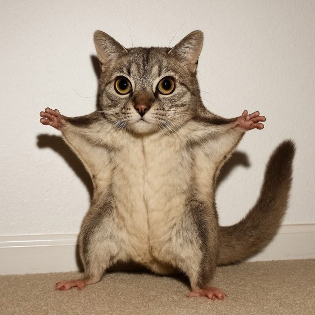 Так себе картинки 10.08.25